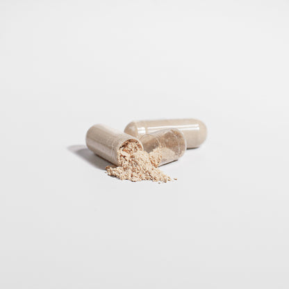 Lion’s Mane Mushroom Extra Strength: Mental Performance