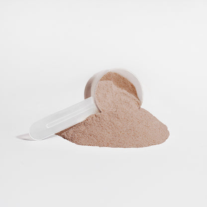 100% Plant Protein: Chocolate Lava