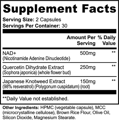 The Longevity Stack