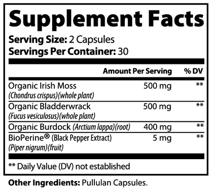 Ocean Armor: Irish Sea Moss, Burdock & Bladderwrack