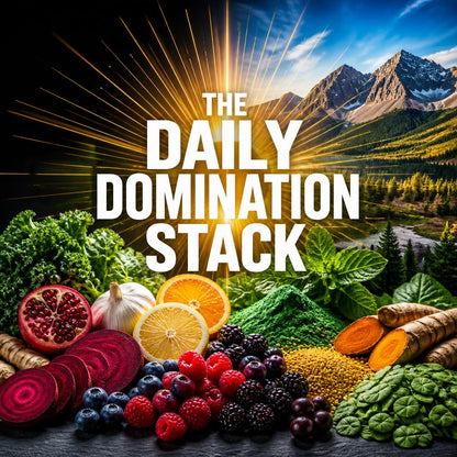 The Daily Domination Stack